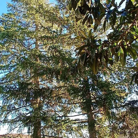 Casa Lia * Anghiari