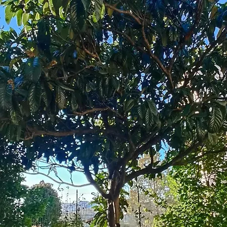 Apartamento Casa Lia Anghiari