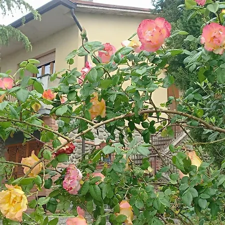 Casa Lia Apartment Anghiari